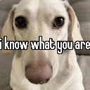 iknowwhatyouare