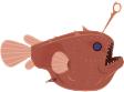 anglerfish2