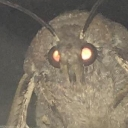 MothLamp