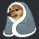 h_cozy_doge