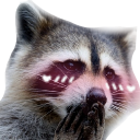raccoonblush