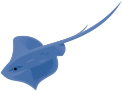 PelagicRay